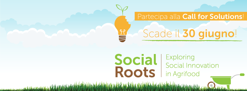 Social Roots