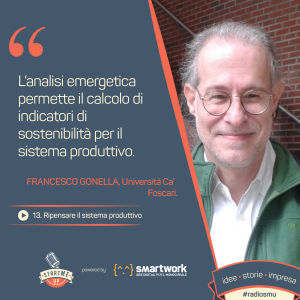 francesco gonella analisi sistemica emergetica