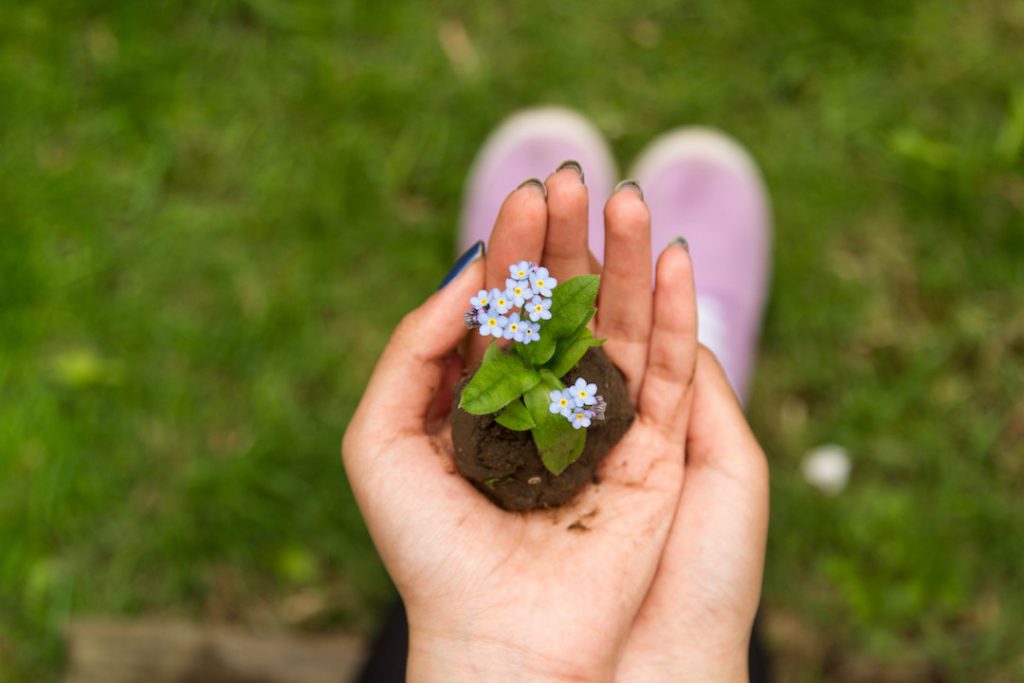 Vuoi consumare meno e essere più green? Un Home Energy Advisor può aiutarti