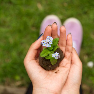 Vuoi consumare meno e essere più green? Un Home Energy Advisor può aiutarti