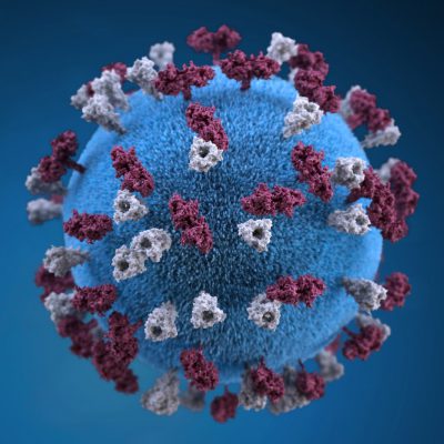 coronavirus e virus
