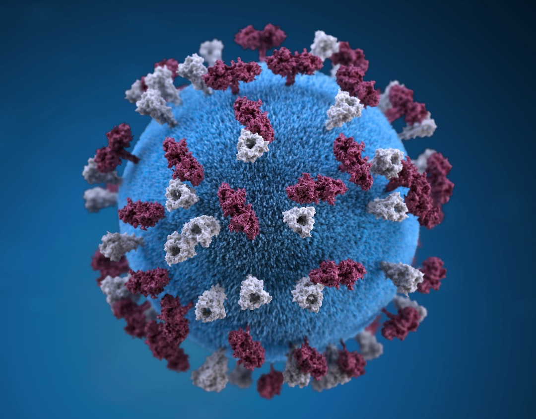 coronavirus e virus