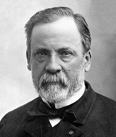 Luis Pasteur, il caso e la serendipity