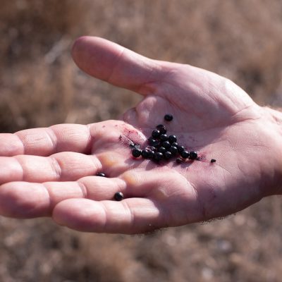 La partecipazione come spunto narrativo dei luoghi marginali