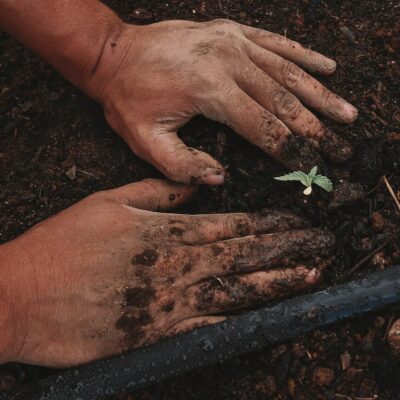 Agricoltura sociale: relazioni per un cibo più sano e sostenibile.